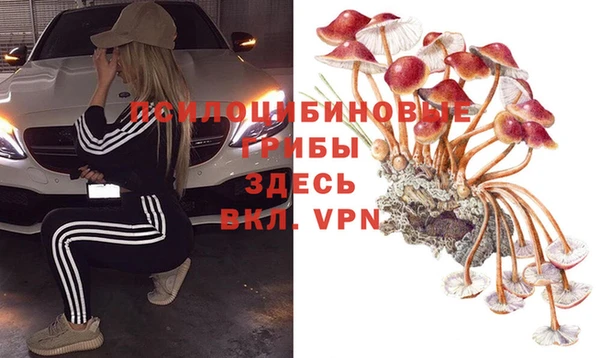 ешки Красноперекопск