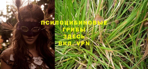 спайс Краснослободск