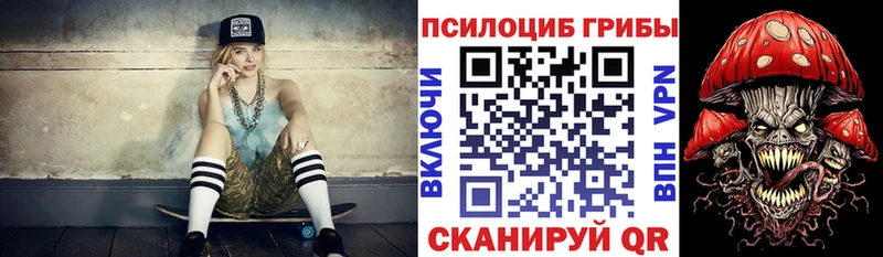 Купить  Белозерск  Галлюциногенные грибы Psilocybe 